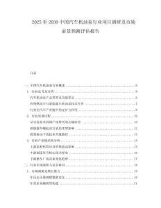 2025至2030中国汽车机油泵行业项目调研及市场前景预测评估报告
