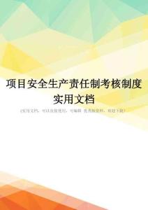 项目安全生产责任制考核制度实用文档