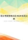项目考核管理办法39239实用文档