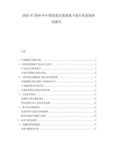 2025至2030年中国高效无堵塞液下泵行业发展研究报告