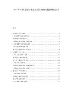 2025年中国显像管集装箱项目投资可行性研究报告