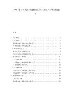 2025年中国变量轴向柱塞泵项目投资可行性研究报告