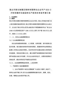 2025年项目资金申请报告