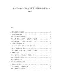 2025至2030中国洗衣皂行业供需趋势及投资风险报告