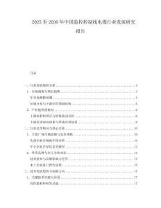2025至2030年中国监控控制线电缆行业发展研究报告