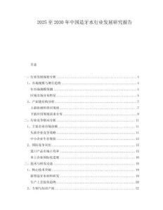 2025至2030年中国造牙水行业发展研究报告