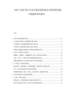 2025-2030钙片行业市场发展现状及并购重组策略与投融资研究报告