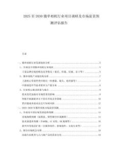 2025至2030微单相机行业项目调研及市场前景预测评估报告