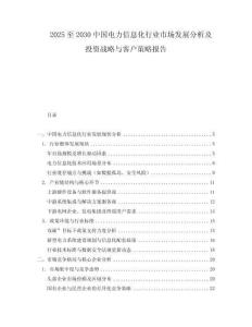 2025至2030中国电力信息化行业市场发展分析及投资战略与客户策略报告
