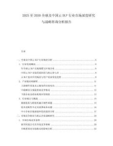 2025至2030全球及中国云DLP行业市场深度研究与战略咨询分析报告