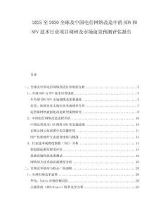 2025至2030全球及中国电信网络改造中的SDN和NFV技术行业项目调研及市场前景预测评估报告