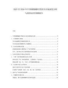 2025至2030年中国测微螺杆类量具市场深度分析与投资前景预测报告