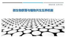 微生物群落与植物共生互养机制-洞察剖析