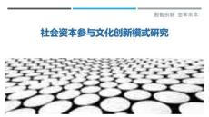社会资本参与文化创新模式研究-洞察剖析