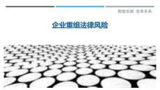 企业重组法律风险-洞察剖析