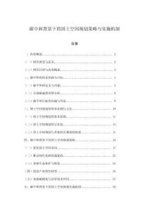 碳中和背景下的国土空间规划策略与实施机制