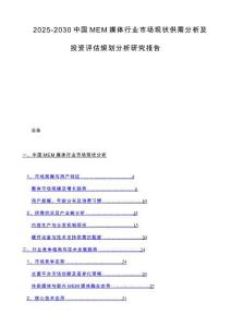 2025-2030中国MEM媒体行业市场现状供需分析及投资评估规划分析研究报告
