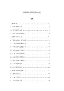 组织振兴理论与实践