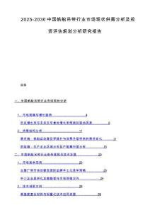 2025-2030中国帆船吊带行业市场现状供需分析及投资评估规划分析研究报告