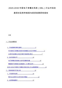 2025-2030中国电子束曝光系统（EBL）行业市场发展现状及竞争格局与投资前景研究报告