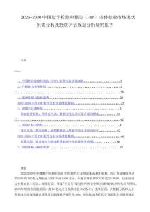 2025-2030中国欺诈检测和预防（FDP）软件行业市场现状供需分析及投资评估规划分析研究报告