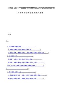 2025-2030中国跑步带和臂章行业市场现状供需分析及投资评估规划分析研究报告