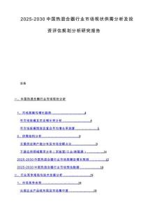 2025-2030中国热混合器行业市场现状供需分析及投资评估规划分析研究报告