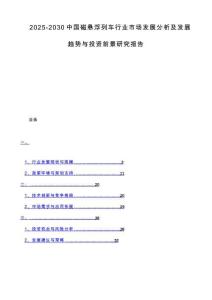 2025-2030中国磁悬浮列车行业市场发展分析及发展趋势与投资前景研究报告