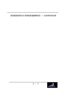 海信集团昆明分公司营销渠道策略研究——以昆明市场为例