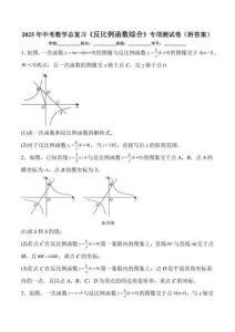 2025年中考数学总复习《反比例函数综合》专项测试卷（附答案）