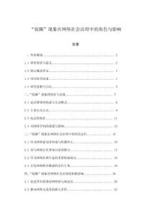 “饭圈”现象在网络社会治理中的角色与影响