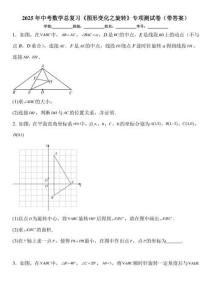 2025年中考数学总复习《图形变化之旋转》专项测试卷（带答案）