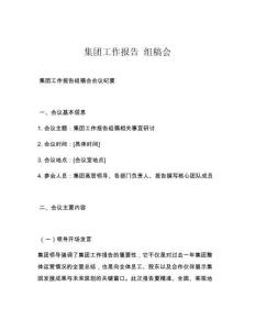 集团工作报告 组稿会