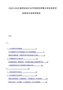 2025-2030篮球运动行业市场现状供需分析及投资评估规划分析研究报告