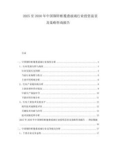 2025至2030年中国铜锌框覆叠玻璃行业投资前景及策略咨询报告