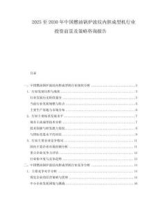 2025至2030年中国燃油锅炉波纹内胆成型机行业投资前景及策略咨询报告