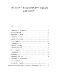 2025至2031年中国波纹圈圈大肚纱市场现状分析及前景预测报告