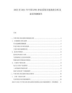 2025至2031年中國(guó)GPRS抄表系統(tǒng)市場(chǎng)現(xiàn)狀分析及前景預(yù)測(cè)報(bào)告