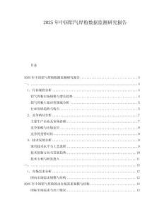 2025年中國鋁氣焊粉數據監測研究報告