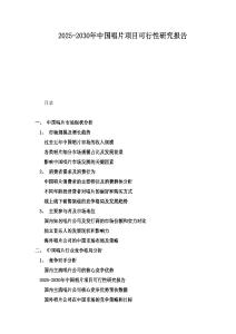 2025-2030年中國(guó)唱片項(xiàng)目可行性研究報(bào)告