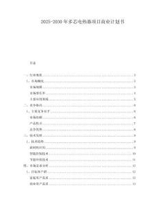 2025-2030年多芯電熱器項目商業計劃書