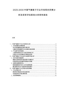2025-2030中國氣錘鑿子行業(yè)市場現(xiàn)狀供需分析及投資評估規(guī)劃分析研究報告