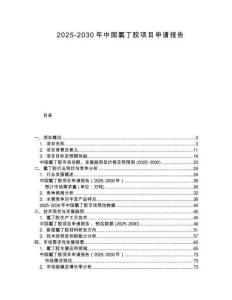 2025-2030年中國氯丁膠項目申請報告