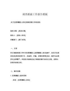 調(diào)查抓捕工作報告模板