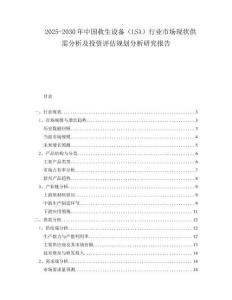 2025-2030年中國(guó)救生設(shè)備（LSA）行業(yè)市場(chǎng)現(xiàn)狀供需分析及投資評(píng)估規(guī)劃分析研究報(bào)告
