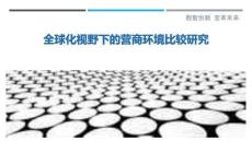 全球化視野下的營商環(huán)境比較研究-洞察剖析