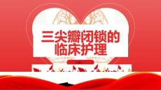 三尖瓣闭锁的临床护理