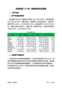 天和防務(wù)2025年一季度財務(wù)狀況報告