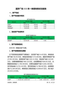 藍夢廣告2025年一季度財務狀況報告