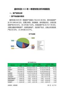 嘉環(huán)科技2025年一季度財務(wù)分析詳細(xì)報告
